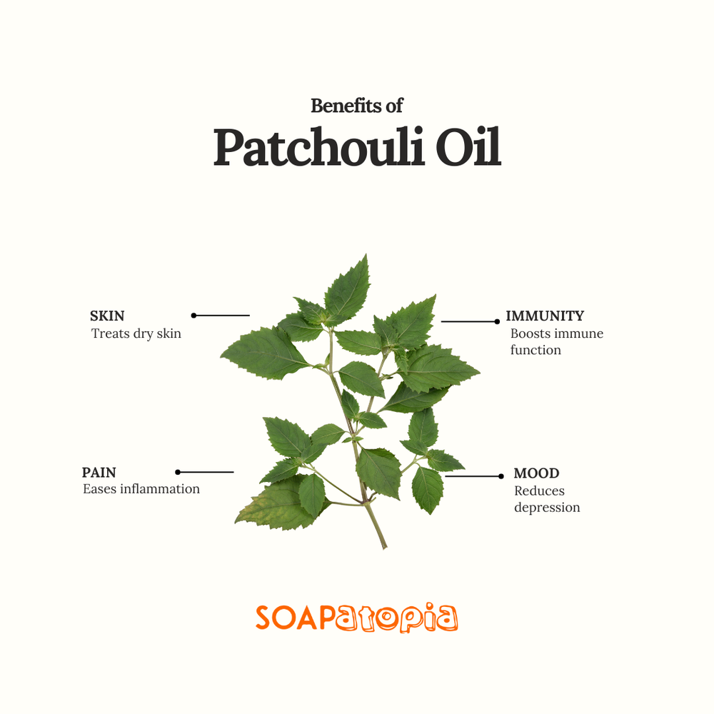Patchouli Essential Oil