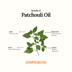 Patchouli Essential Oil