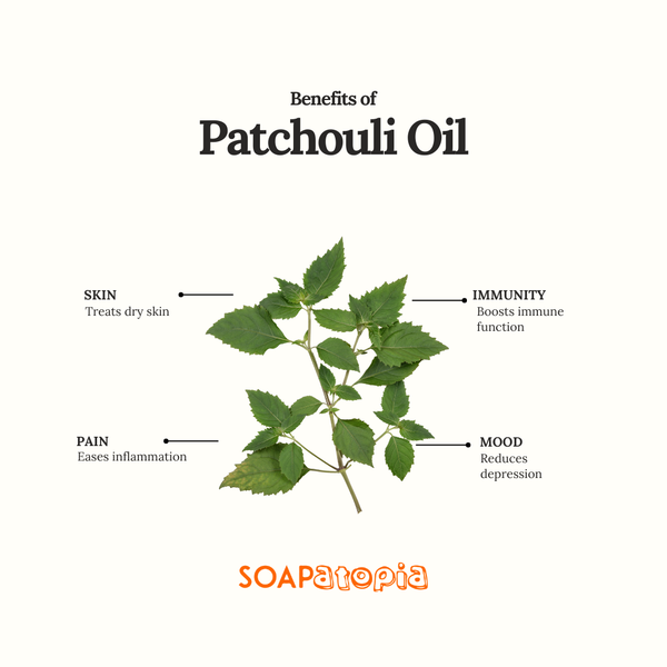 Patchouli Essential Oil