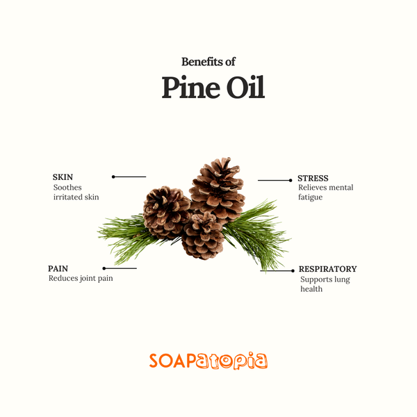 Pine Essential Oil