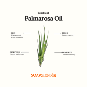 Palmarosa Essential Oil