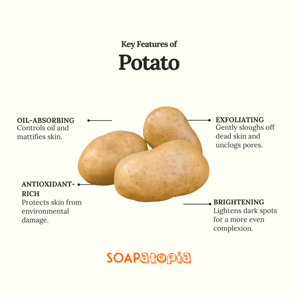 Potato Powder