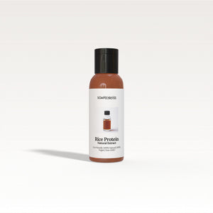 Rice Protein (Hydrolyzed) Extract