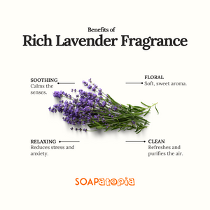 Rich Lavender Fragrance