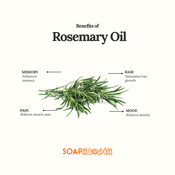 Rosemary Essential Oil