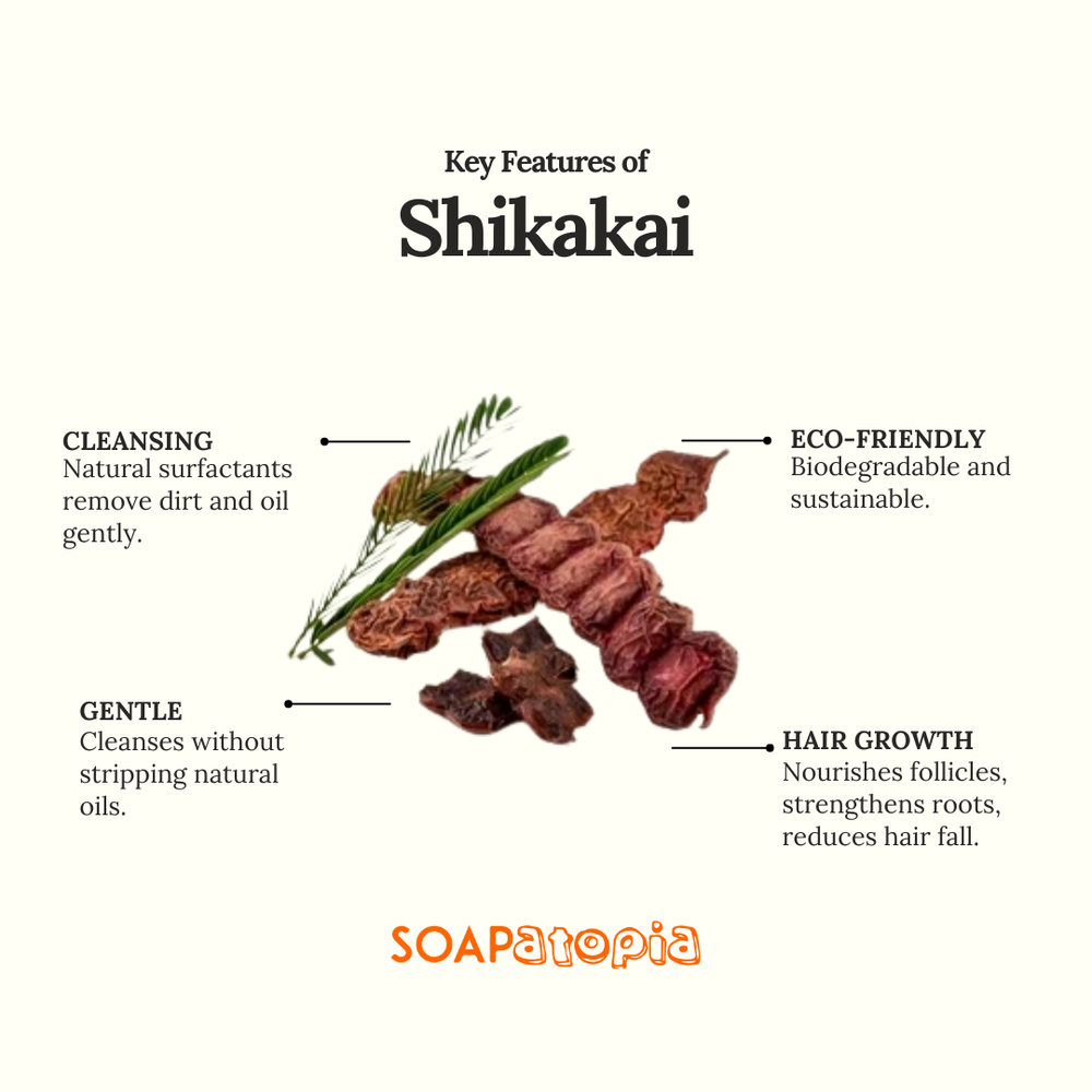 Shikakai Powder