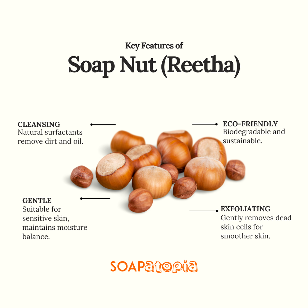 Soap Nut (Reetha) Powder