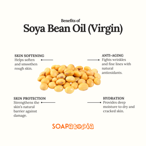 Soya Bean Oil (Virgin)
