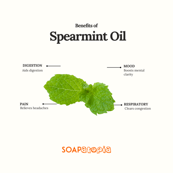 Spearmint Essential Oil