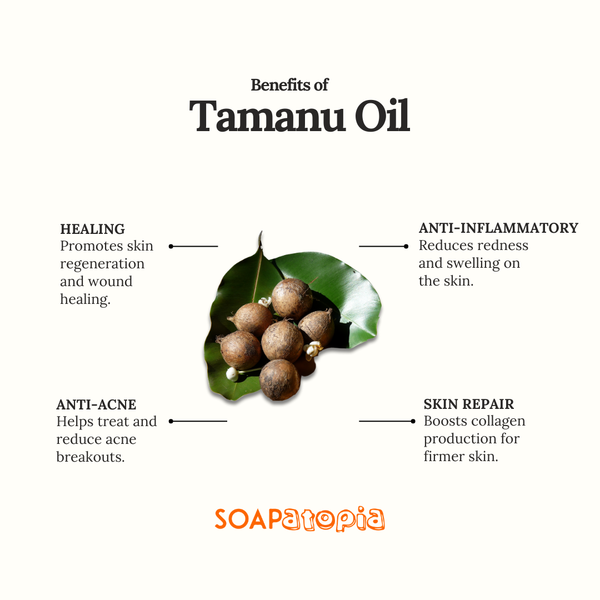 Tamanu Oil