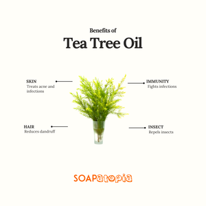 Tea Tree Essential Oil