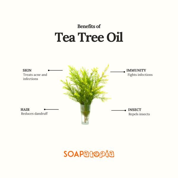 Tea Tree Essential Oil