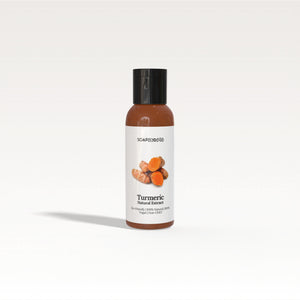 Turmeric Extract