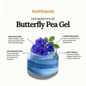 Butterfly Pea Flower (Clitoria ternatea) Gel