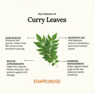 curry leaves powder