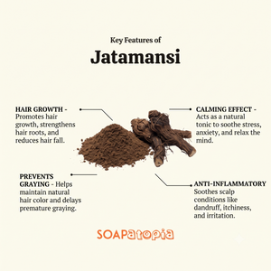 Jatamansi root (Spikenard)powder