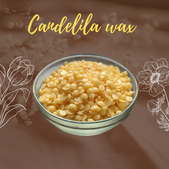 CANDELILA_WAX