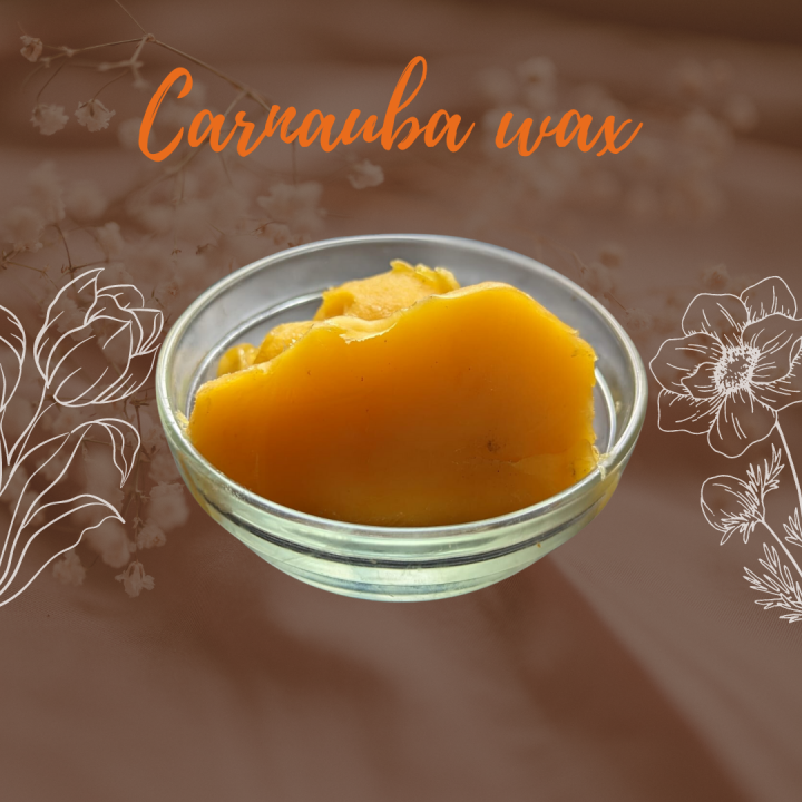 CARNAUBA_WAX